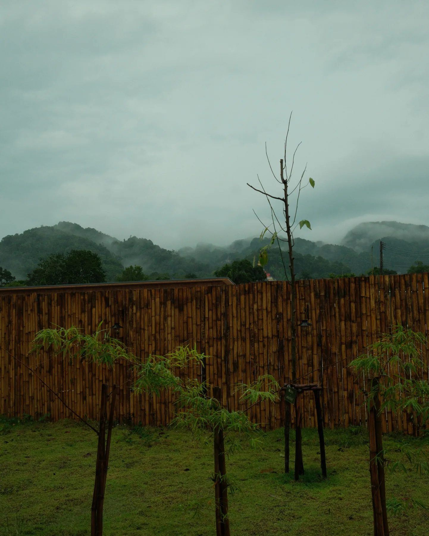 Mountains and nature around growth club