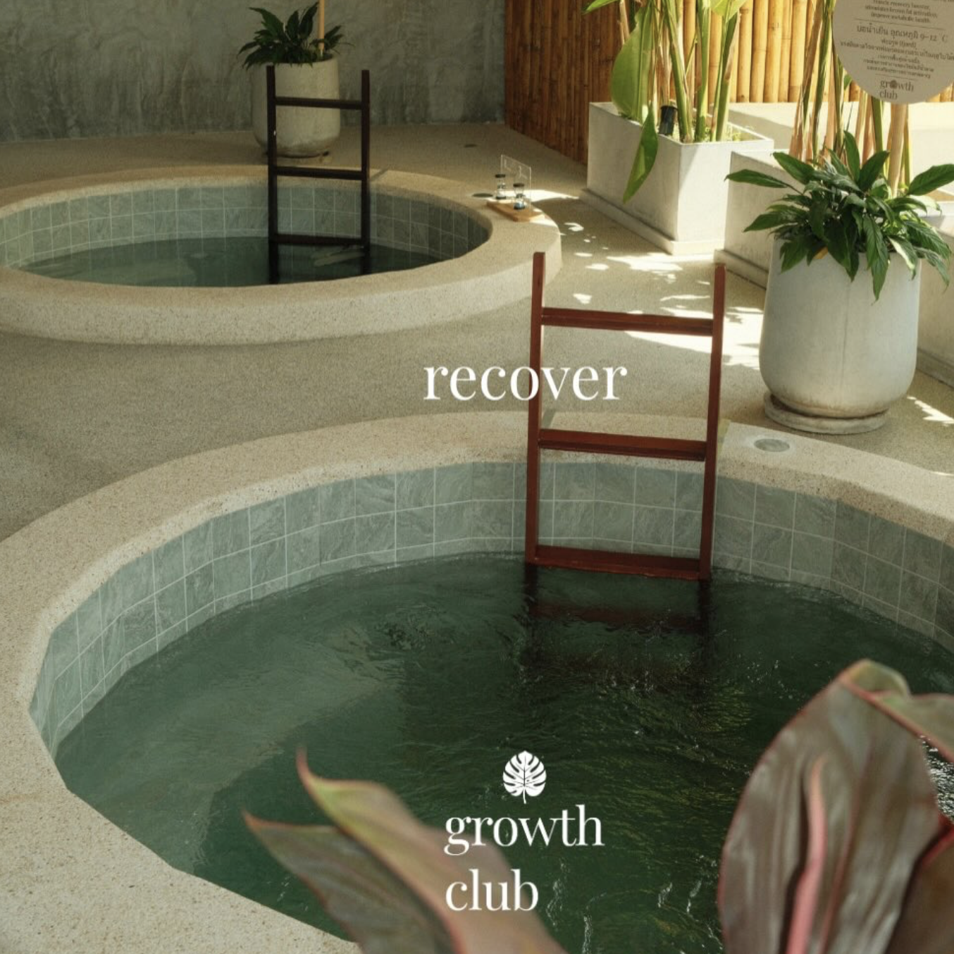 Growth club wellness morning